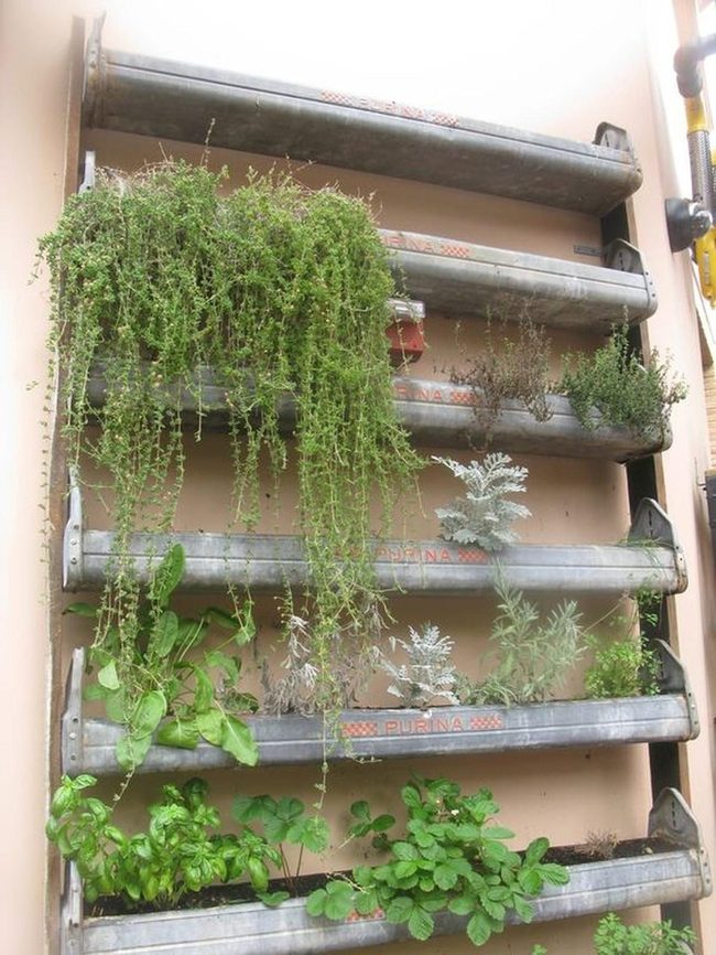 Weathered Metal Wall Garden