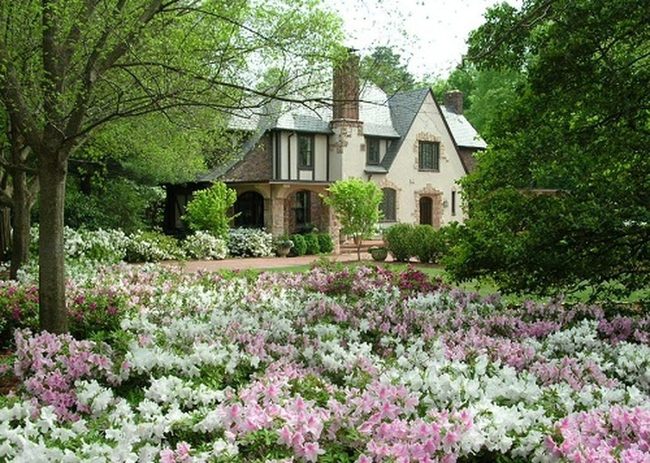 Pink And White Azalea Borders