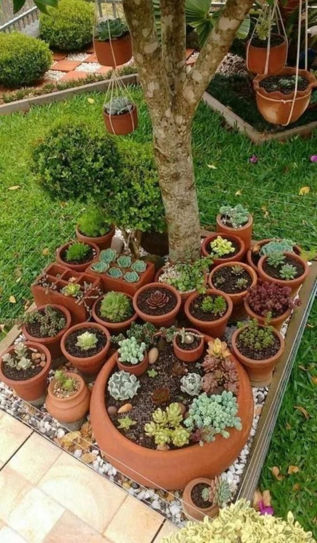 Tree-Centered Garden Bed Oasis