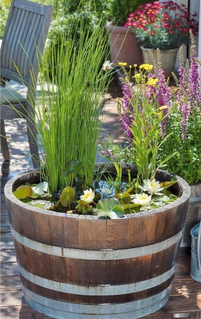 Wooden Chair Among Blooming Water Barrels