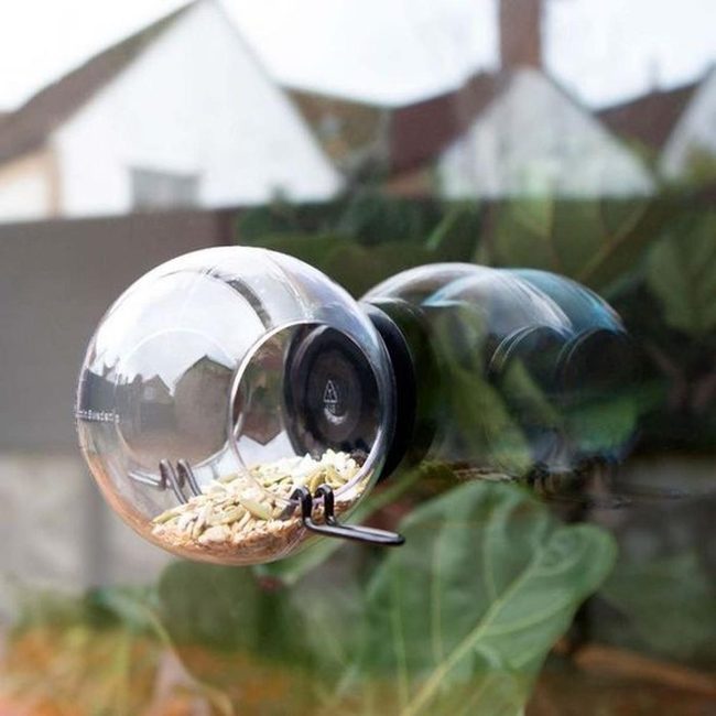 Sunlit Glass Jars With Seeds