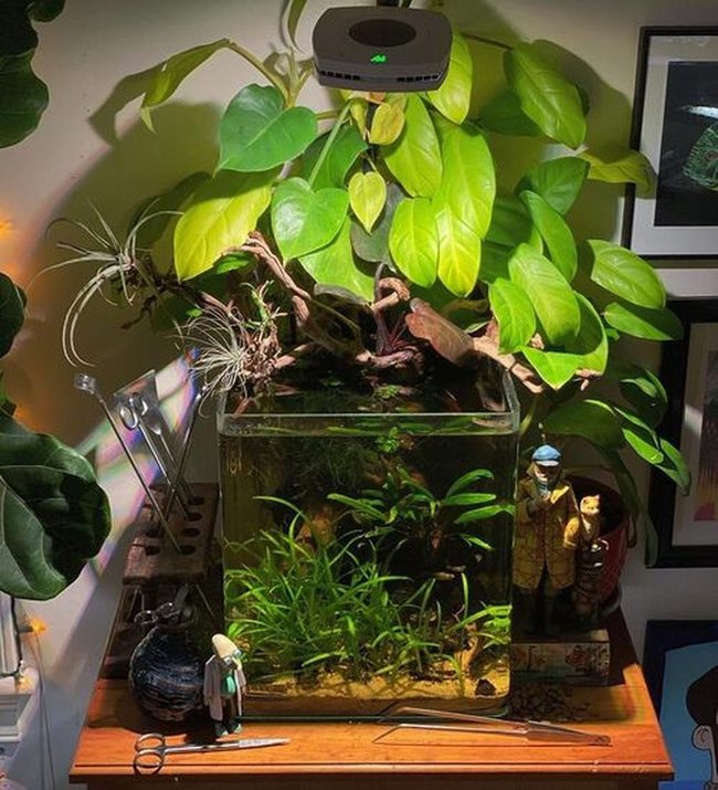Cascading Green Water Purifier