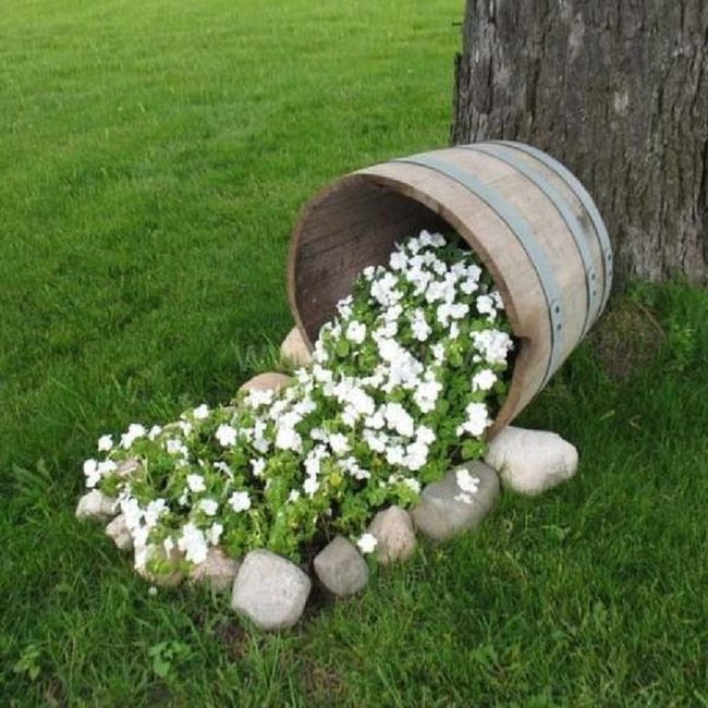 White Petals Spilling Through Garden Soil