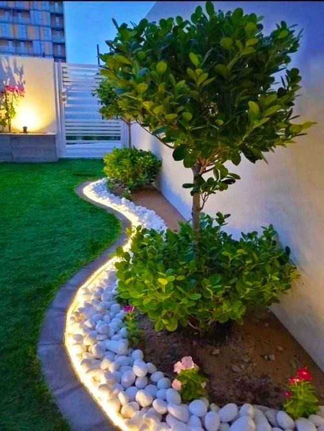 Moonlit Pebbles With Glowing Trees