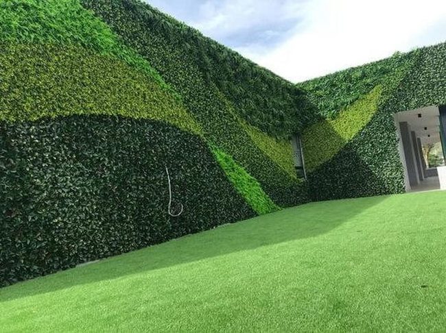 Living Green Wall Installation