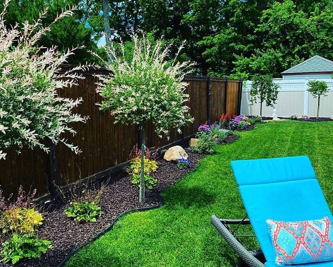 Mulch Border Florida Garden
