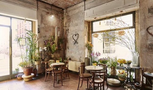 Wooden Shelves, Green Plants, Coffee