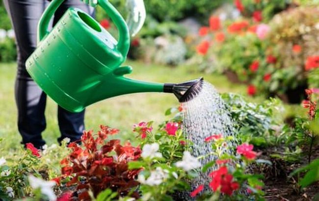 Organic Gardens For Thriving Pollinators