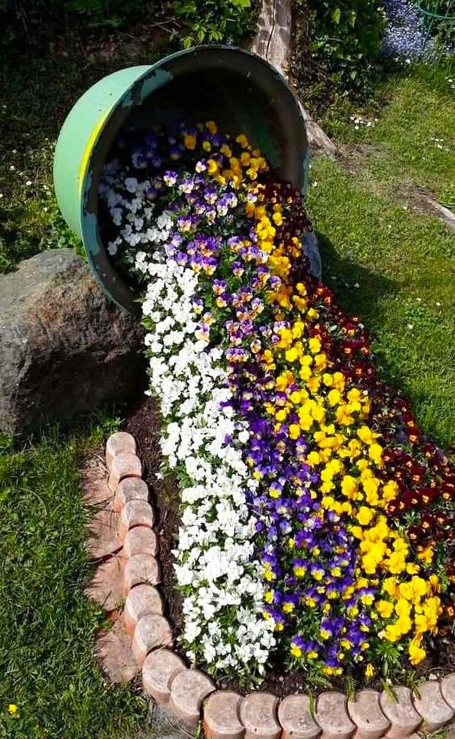 Purple Pansies Spilling From Green Barrel