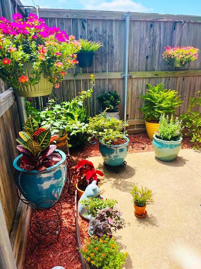 Colorful Potted Flowers Against Wood Fence