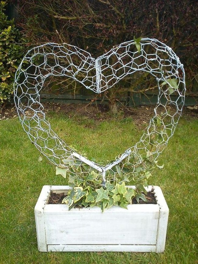 Living Ivy Heart Structure