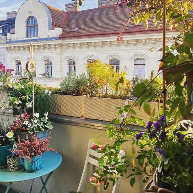 Sunny Balcony Garden Retreat