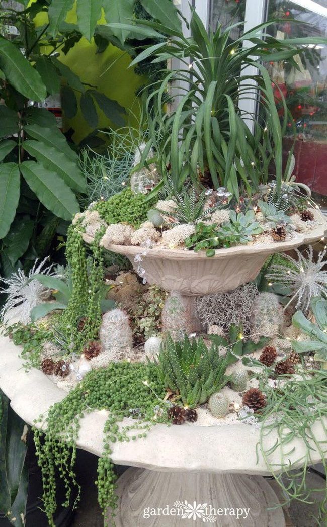 Layered Greens With Stone Anchors