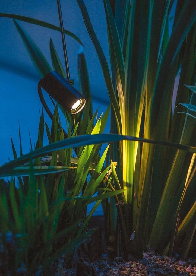 Nighttime Garden Luminescence Reveals Hidden Details