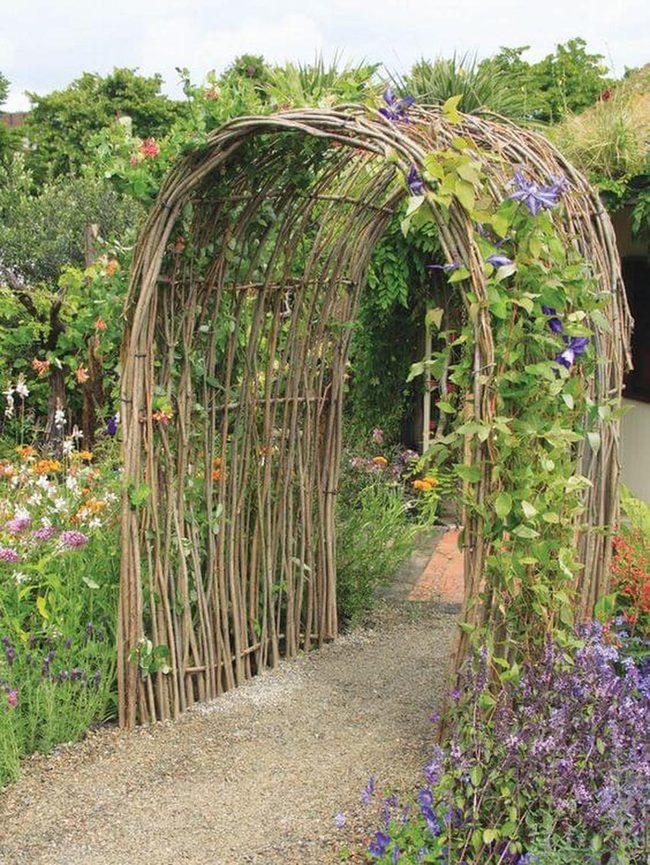 Twisted Branches Frame Living Blooms