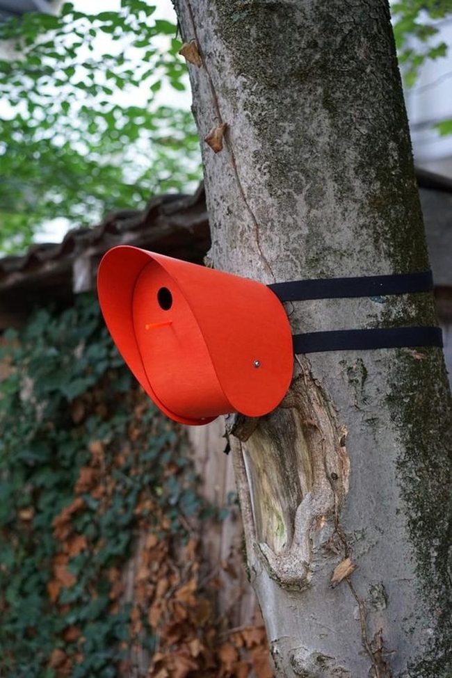 Red Birdhouse On Weathered Bark