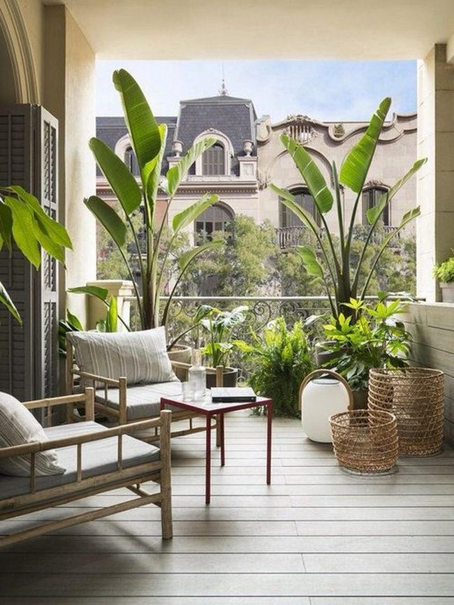 Green Plants Frame Urban Skyline