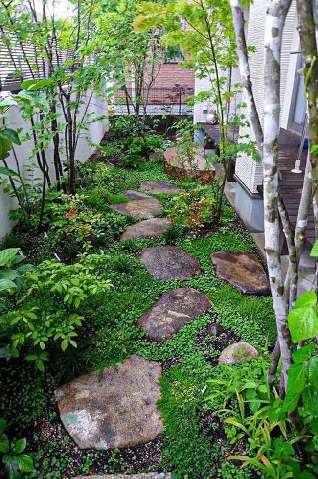 Garden Path Through Filtered Sunlight