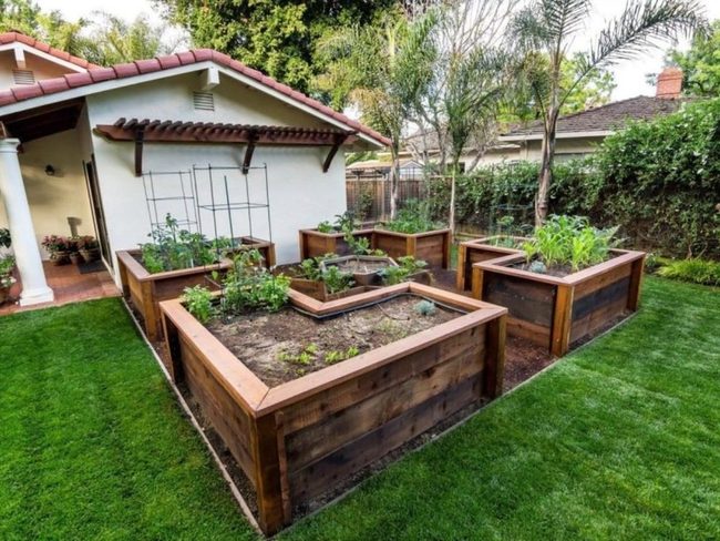 Warm Wood Garden Beds