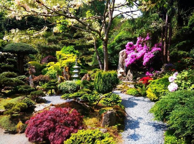 Year-Round Garden Color Rotation