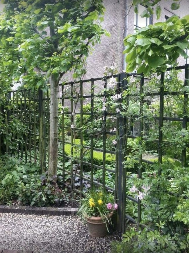Black Trellis Green Vines Pink Blooms