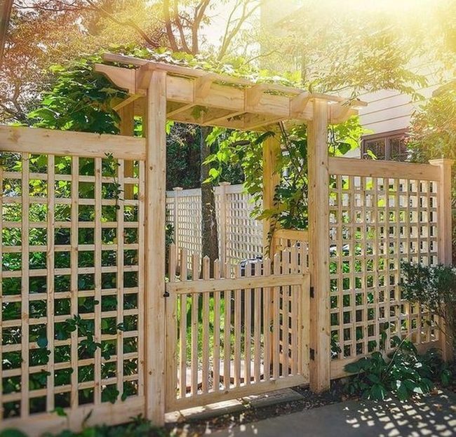 Leafy Vines Shadow Wooden Gate