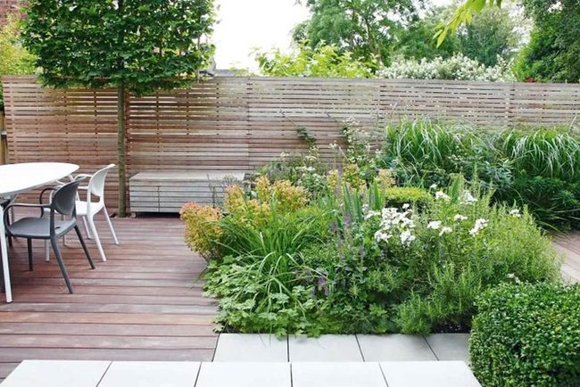 Wooden Deck Through Wild Growth