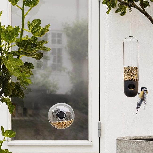 Clear Glass Bird Feeder