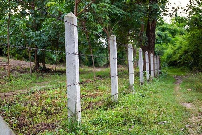 Sharp Strands Secure Livestock