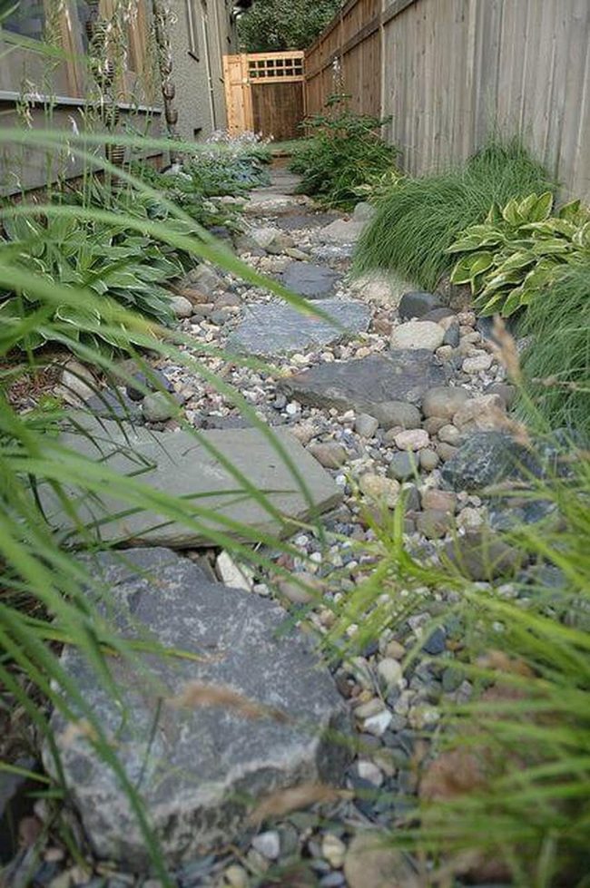 Stone Path Through Layered Greenery