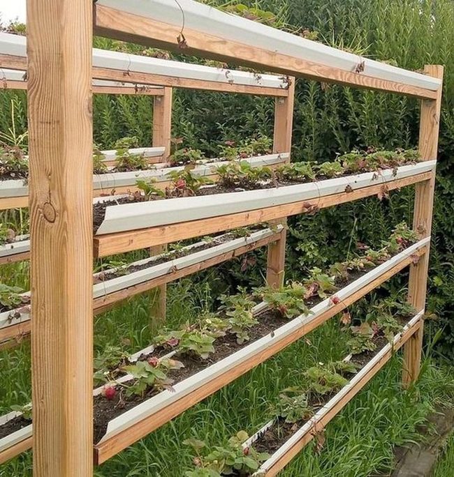 Three-Level White Gutter Garden