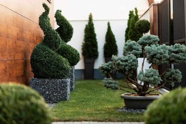 Fake Greenery, Zero Maintenance Required