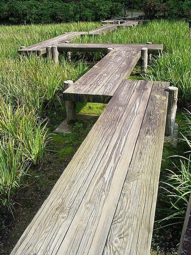 Weathered Wood Path Through Green