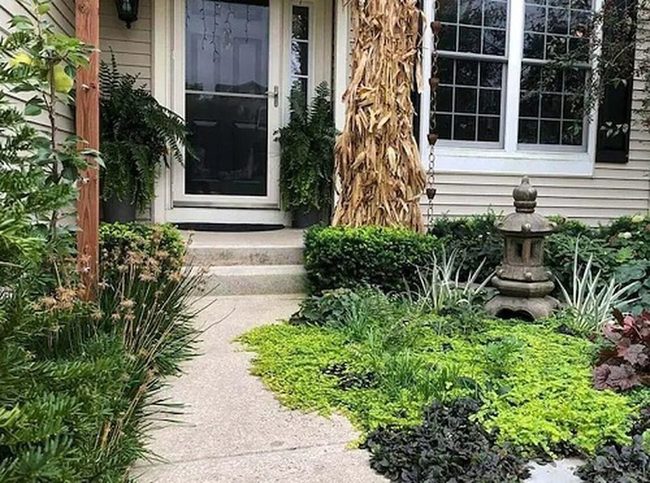 Spreading Plants Replace Grass Lawn