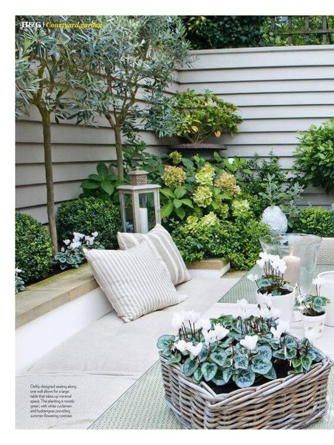 Private Hedge Garden With Fire Pit