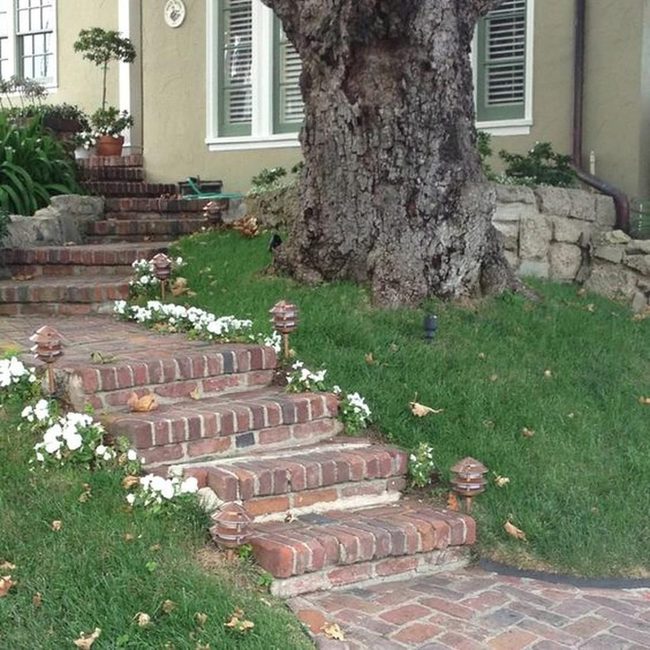 Curved Brick Steps Through Ancient Trees