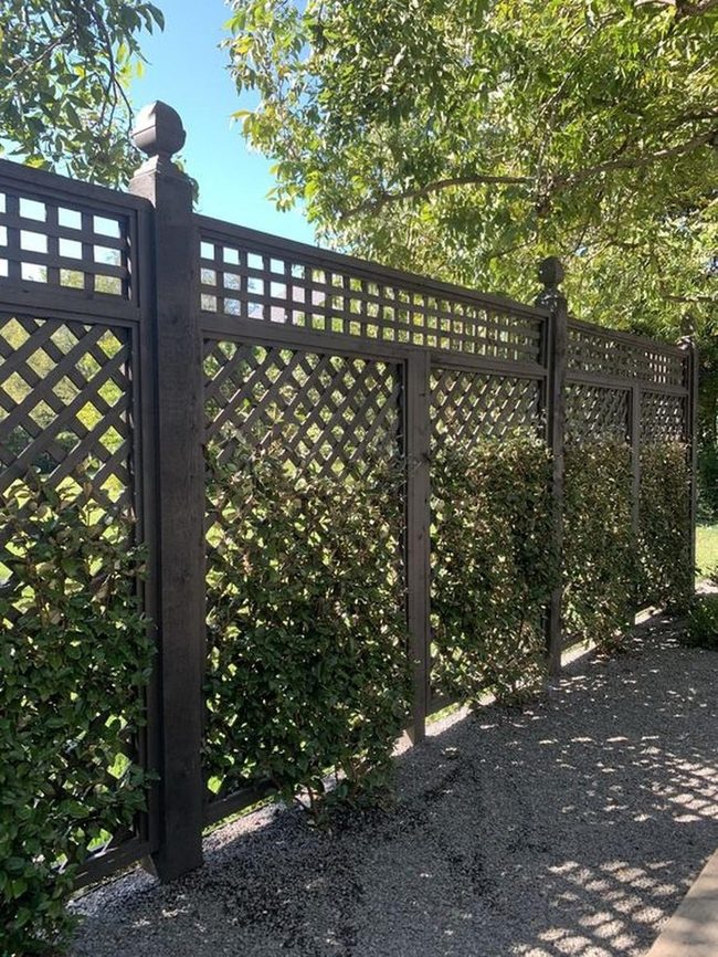 Latticed Wood Fence Garden Sanctuary