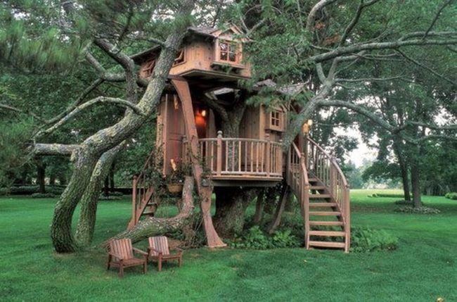 Wooden Treehouse Among Green Leaves