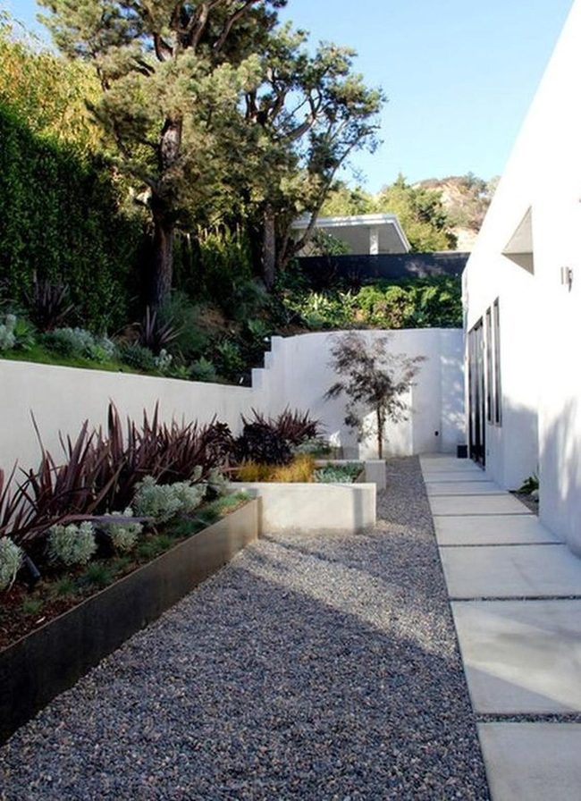 White Walls, Green Plants, Gravel Serenity