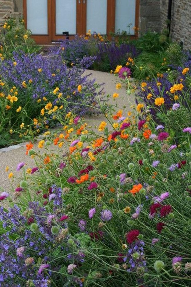Multicolored Flowers Against Stone Walls