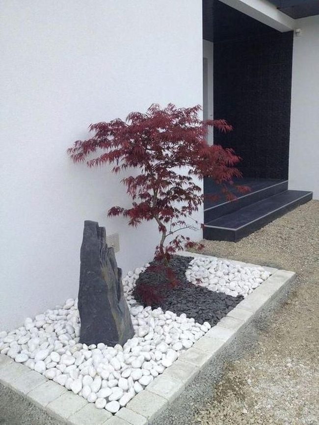 Red Leaves Against White Walls