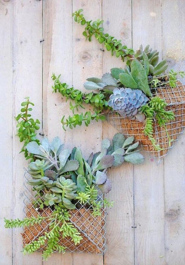 Living Wall Wire Pockets Green