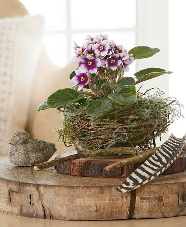 Twiggy Violet Nest Planter