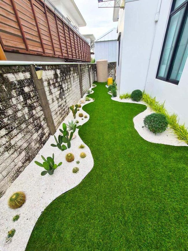Green Plants White Gravel Urban Oasis
