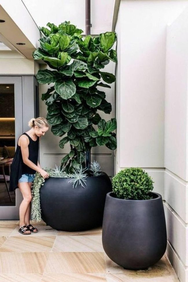 Black Planters Against White Stone