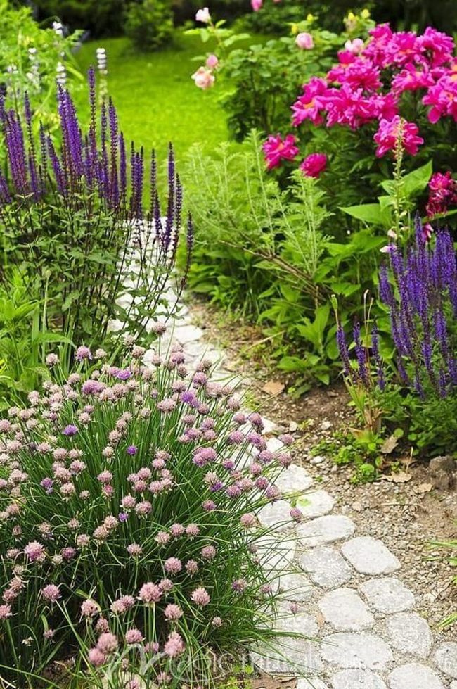 Purple Pink Cobblestone Flower Path