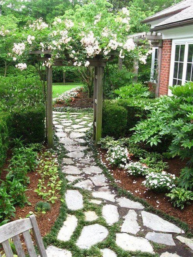 Blooming Vines Frame Stone Pathways