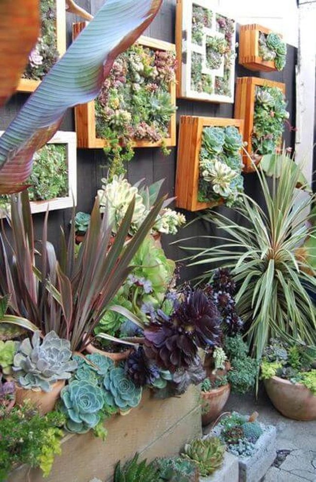 Living Wall Of Greens And Browns