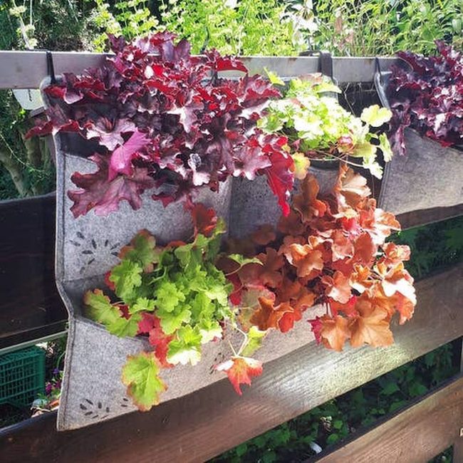 Green Herb Fence Pockets
