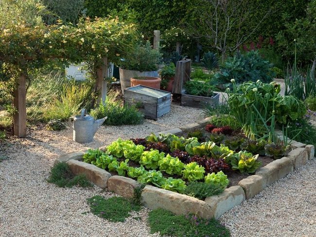 Elevated Garden Beds Reshape Backyard